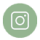 instagram-icon